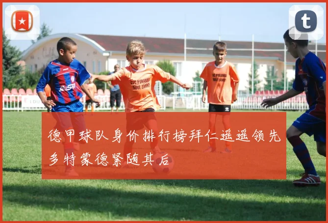 德甲球队身价排行榜拜仁遥遥领先多特蒙德紧随其后