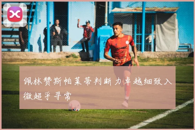 佩林赞斯帕莱蒂判断力卓越细致入微超乎寻常