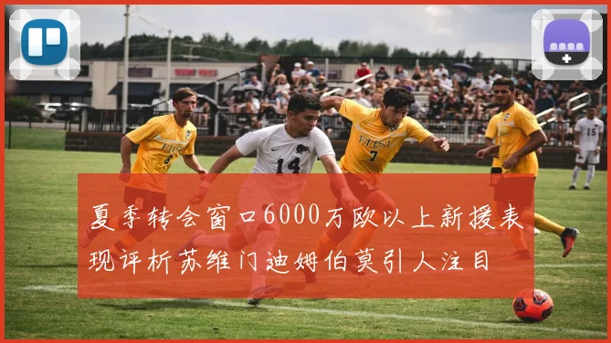 夏季转会窗口6000万欧以上新援表现评析苏维门迪姆伯莫引人注目
