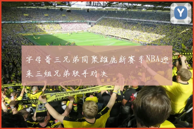 字母哥三兄弟同聚雄鹿新赛季NBA迎来三组兄弟联手对决
