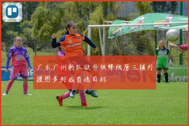 广东广州豹队欲升级锋线原三镇外援图多列成首选目标